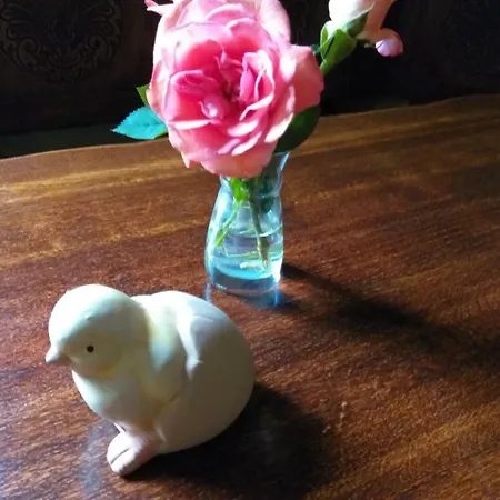 فندق 's Gravenhof